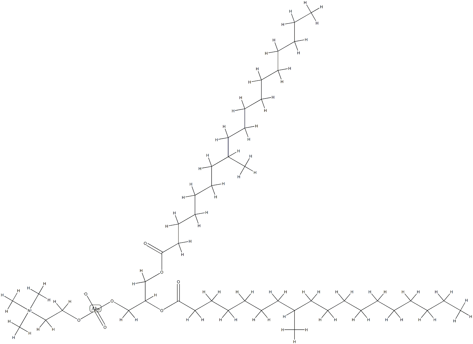 di-(8-methylstearoyl)phosphatidylcholine Structure