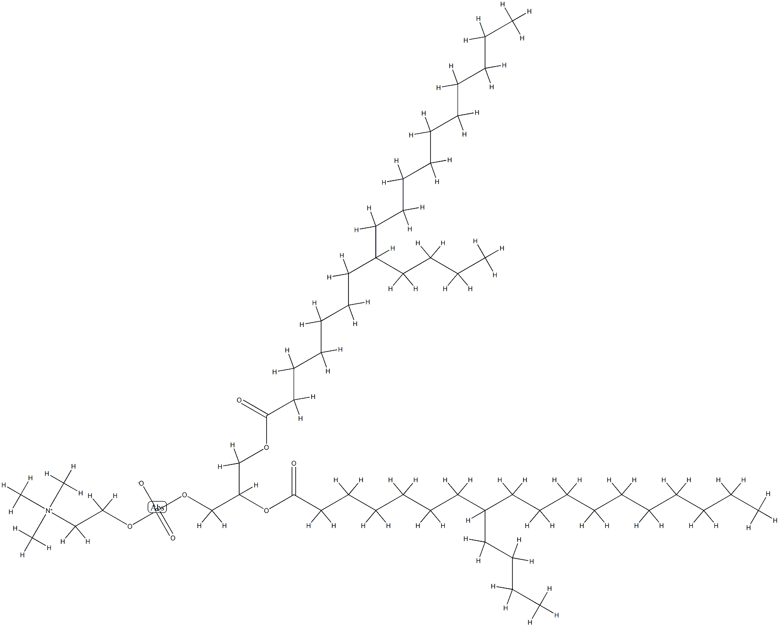 di-(8-n-butylstearoyl)phosphatidylcholine Struktur