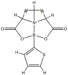 2-チオフェンボロン酸MIDAエステル 化学構造式