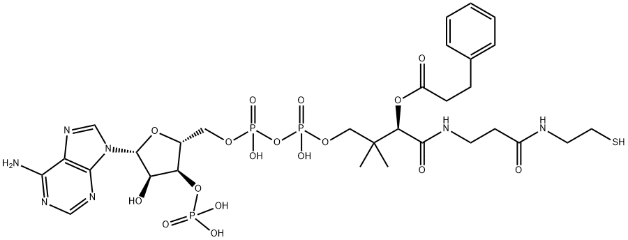 phenylpropionyl-coenzyme A Struktur
