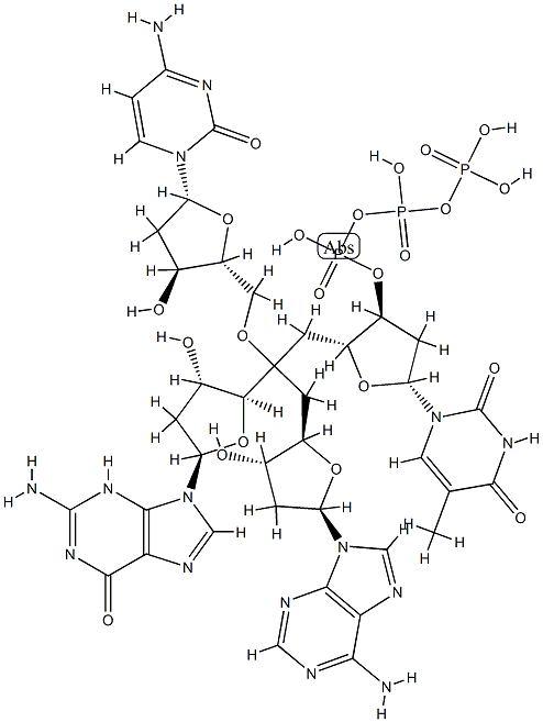 deoxy(thymidylic-adenylic-cytidylic-guanosine) 结构式