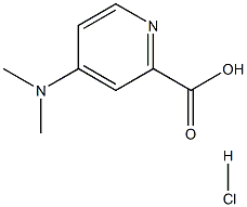 4-(二甲氨基)吡啶甲酸盐酸盐, 1176419-71-8, 结构式