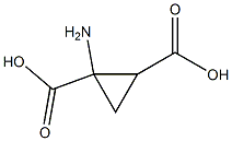 1,2-Cyclopropanedicarboxylicacid,1-amino-(9CI) 结构式