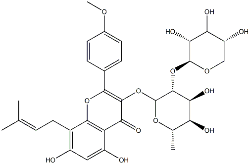 Sagittatosdie B