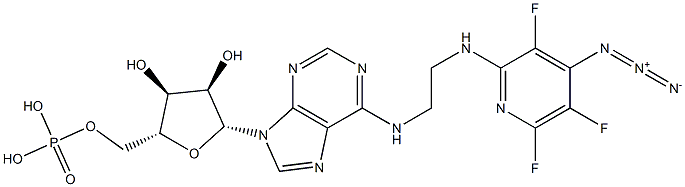 N(6)-(N((4-azido-3,5,6-trifluoro)pyridin-2-yl)-2-aminoethyl)adenosine 5'-monophosphate 结构式