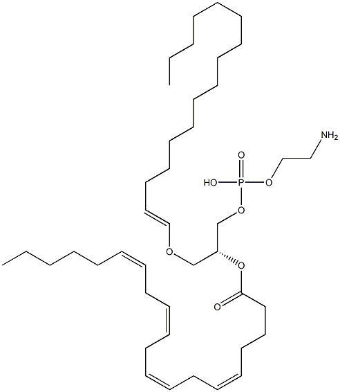 1-palmitoyl-2-arachidonoyl plasmalogen phosphatidylethanolamine 化学構造式