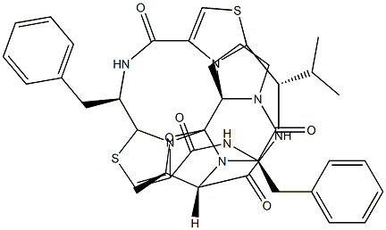 (7R,14S)-14-Demethyl-7-de(1-methylpropyl)-14-phenylmethyl-7-(1-methylethyl)ulicyclamide,120853-17-0,结构式