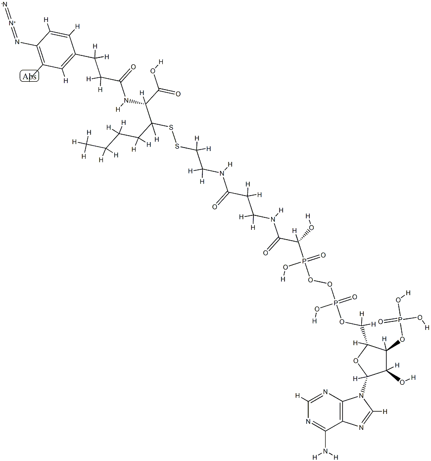N-(3-iodo-4-azidophenylpropionamido)cysteinyl-5-(2'-thiopyridyl)cysteine-coenzyme A Structure