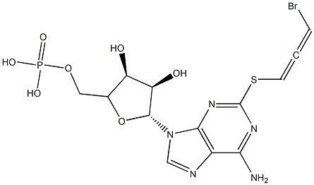 2-((3-bromo-2-oxopropyl)thio)-adenosine 3'5'-cyclic monophosphate 结构式