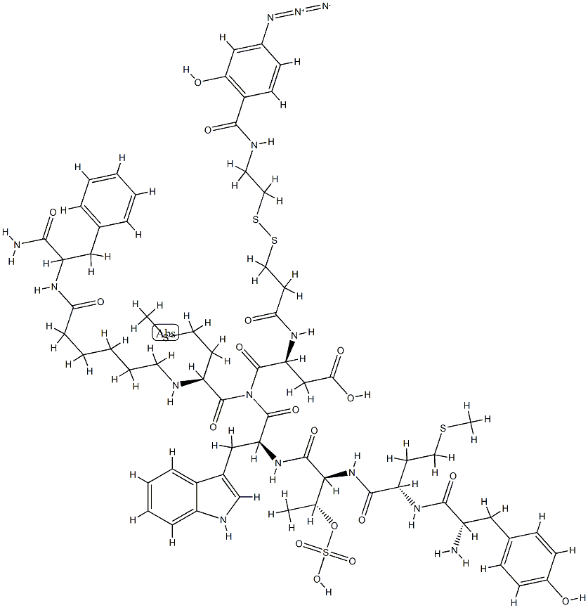 cholecystokinin (25-33),2-(4-azidosalicylamido)-1,3-dithiopropionate(Thr(28)-AHX(31))- 化学構造式