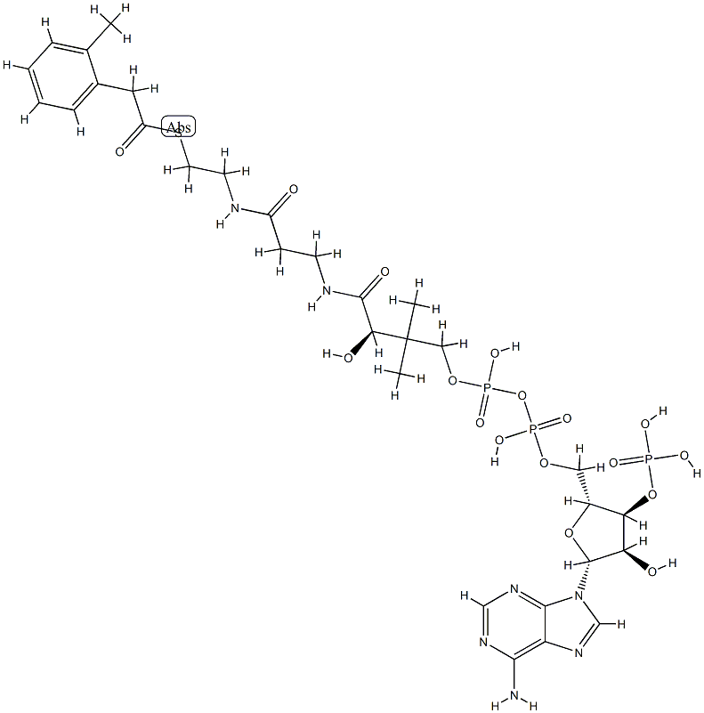 2-tolylacetyl-coenzyme A 结构式