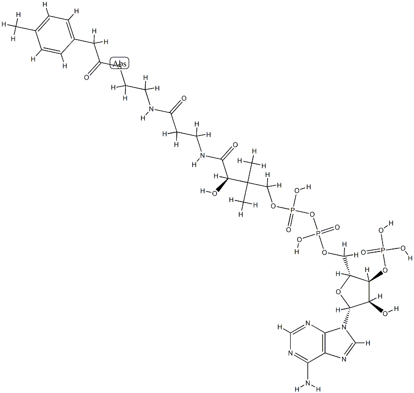 4-tolylacetyl-coenzyme A Structure