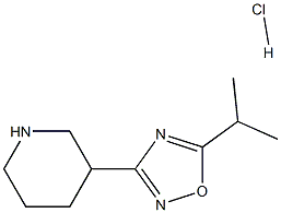 3-[5-(1-甲基乙基)-1,2,4-噁二唑-3-基]-哌啶盐酸盐, 1251925-12-8, 结构式
