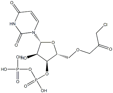 125303-04-0 uridine 5'-diphosphate chloroacetol