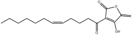 agglomerin B|