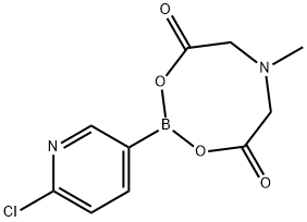 6-クロロ-3-ピリジニルボロン酸 MIDA エステル 化学構造式