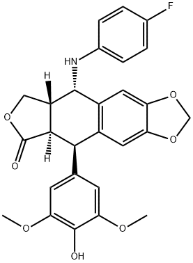 NPF-etoposide|