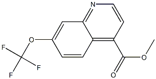 7-trifluoromethoxy-quinoline-4-carboxylic acid methyl ester 化学構造式