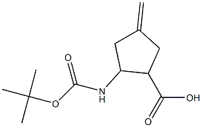 2-tert-Butoxycarbonylamino-4-methylene-cyclopentanecarboxylic acid|