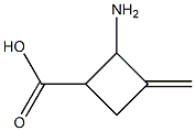 2-Amino-3-methylene-cyclobutanecarboxylic acid,1260809-26-4,结构式