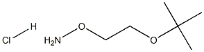 O-(2-tert-Butoxy-ethyl)-hydroxylamine hydrochloride|O-(2-叔丁氧基-乙基)-羟胺盐酸盐