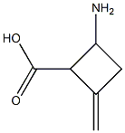 2-Amino-4-methylene-cyclobutanecarboxylic acid Structure