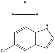 5-chloro-7-(trifluoromethyl)-1H-indole 结构式