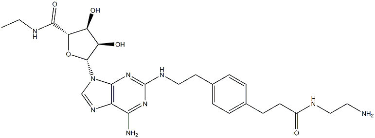 2-((2-aminoethylamino)carbonylethylphenylethylamino)-5'-N-ethylcarboxamidoadenosine Structure