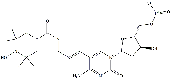 5-(3-(2,2,6,6-tetramethyl-1-oxy-piperidine-4-carboxamido)prop-1-enyl)-2'-deoxycytidine 5'-triphosphate 化学構造式