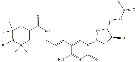 5-(3-(2,2,6,6-tetramethyl-1-oxy-piperidine-4-carboxamido)prop-1-enyl)-2'-deoxycytidine 5'-triphosphate 结构式