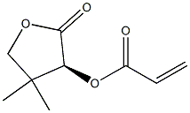 2-Propenoic acid, (3S)-tetrahydro-4,4-dimethyl-2-oxo-3-furanyl ester Struktur