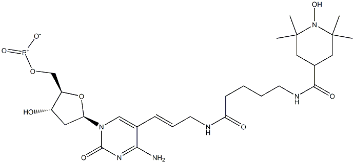 5-(3-(5-(2,2,6,6-tetramethyl-1-oxypiperidine-4-carboxamido)pentanamido)prop-1-enyl)-2'-deoxycytidine 5'-triphosphate|