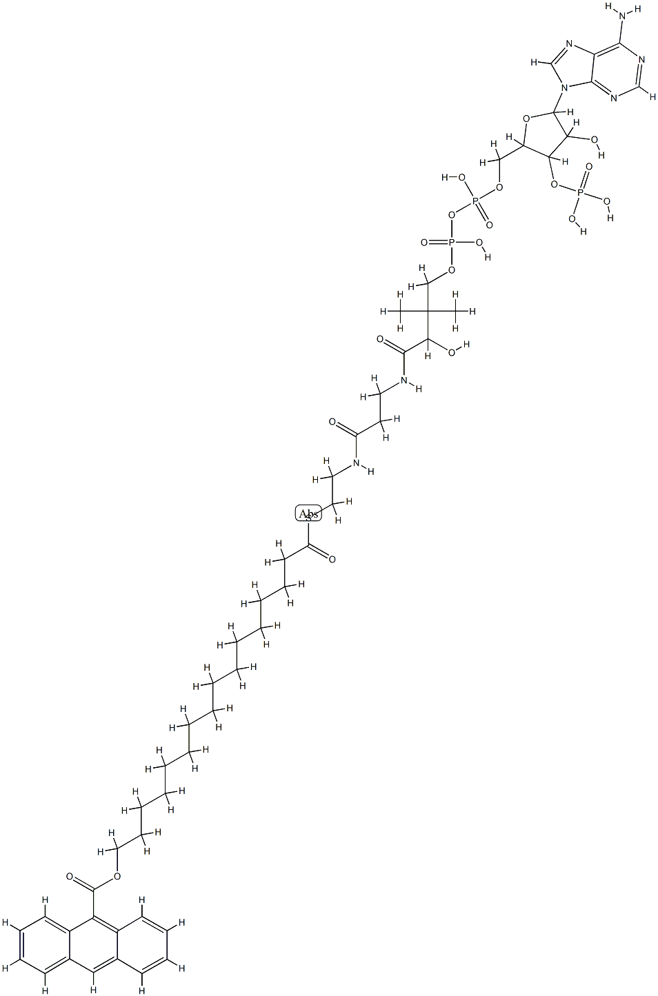 Coenzyme A, 16-(9-anthroyloxy)palmitoyl- Structure