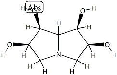 1,2,6,7-tetrahydroxypyrrolizidine Struktur