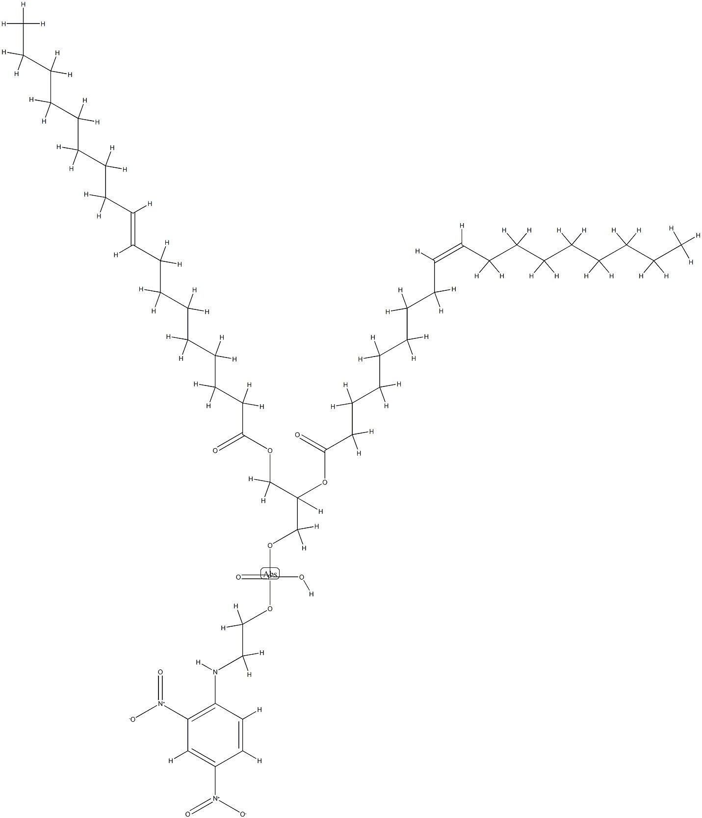 2,4-dinitrophenyl-dioleoylphosphatidylethanolamine|