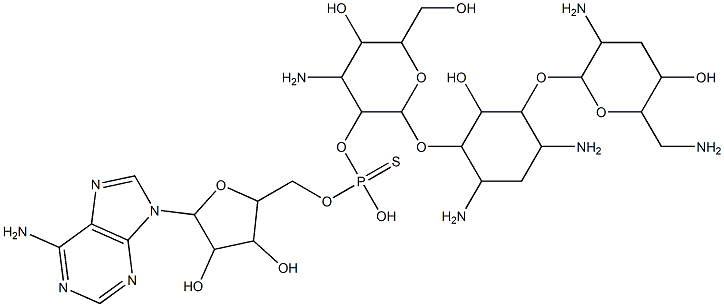 2''-(adenosine-5'-thiophosphoryl)tobramycin|