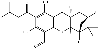 euglobal G2 Struktur