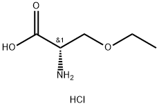 (2S)-2-氨基-3-乙氧基丙酸盐酸盐,1311380-50-3,结构式