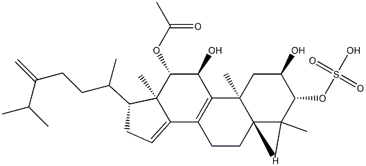 4,4,24-Trimethylcholesta-8,14,24(28)-trien-2,3,11,12-tetrol 12-acetate-3-sulfate Struktur