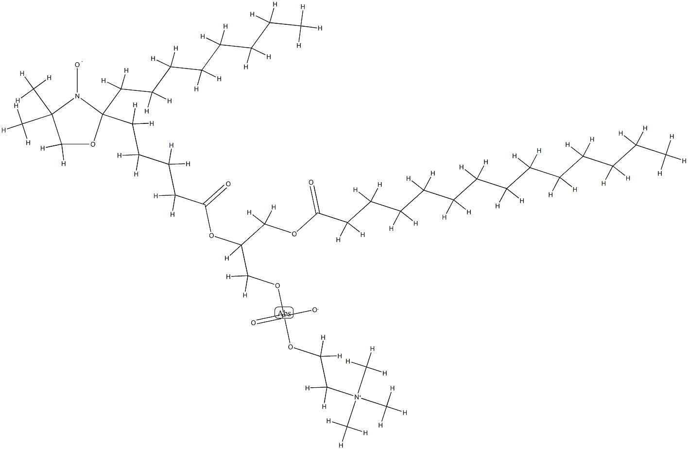 1-myristoyl-2-(6-(4,4-dimethyloxazolidine-N-oxyl)myristoyl)-3-phosphatidylcholine|