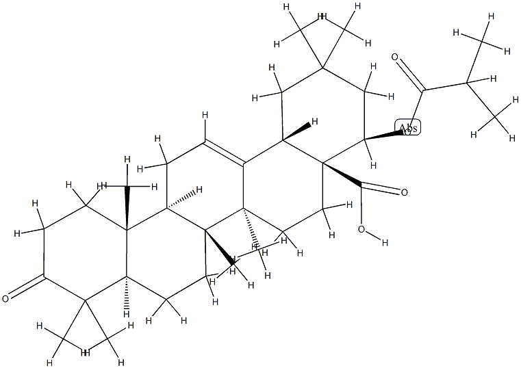 22β-(Isobutyryloxy)-3-oxooleana-12-ene-28-oic acid Structure