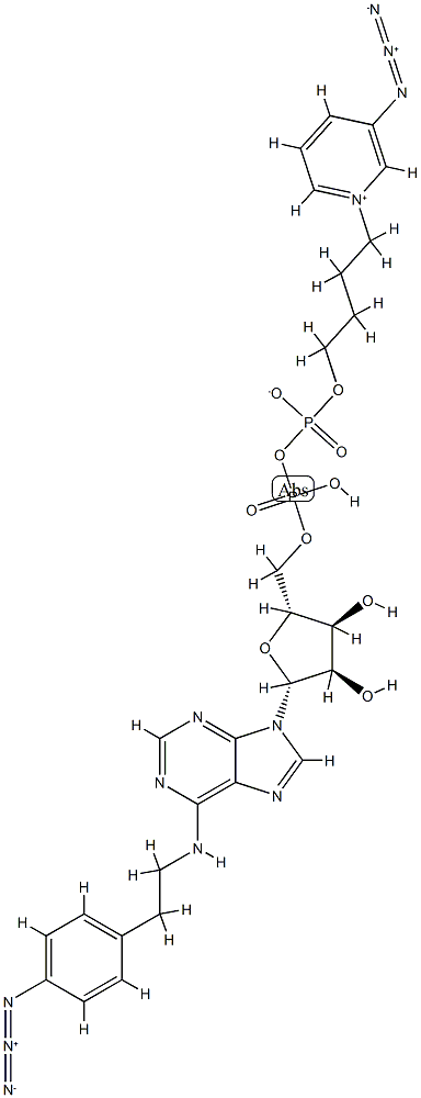 P(1)-N(6)-(4-azidophenylethyl)adenosine-P(2)-(4-(3-azidopyridinio)butyl)diphosphate Structure