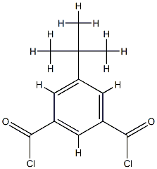 13239-25-3 5-(1,1-二甲基乙基)-1,3-苯二羰基二氯化物