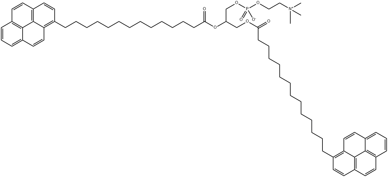 di-(1'-pyrenemyristoyl)phosphatidylcholine 化学構造式