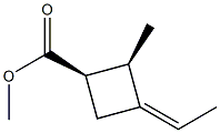 Cyclobutanecarboxylic acid, 3-ethylidene-2-methyl-, methyl ester, [1R- 结构式