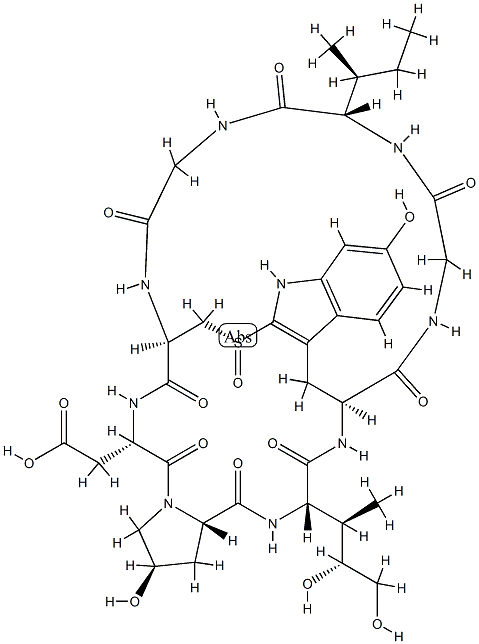 BETA-AMANITIN 化学構造式