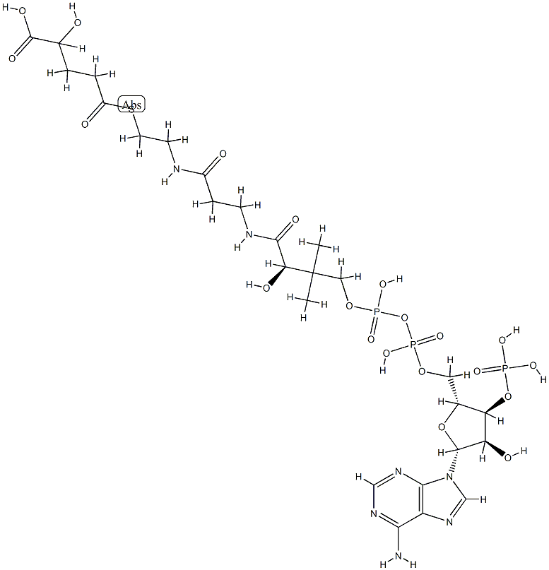 2-hydroxyglutaryl-5-coenzyme A 结构式