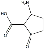 3-Amino-1-oxo-tetrahydro-thiophene-2-carboxylic acid Structure