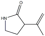 2-Pyrrolidinone,3-(1-methylethenyl)-(9CI),139669-81-1,结构式