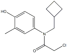 2-chloro-N-(cyclobutylmethyl)-N-(4-hydroxy-3-methylphenyl)acetamide 结构式